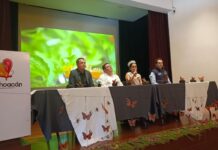 Listo Senguio para abrir su santuario de la mariposa Monarca